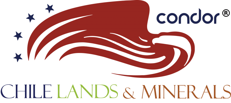 Cóndor Logo Transparente